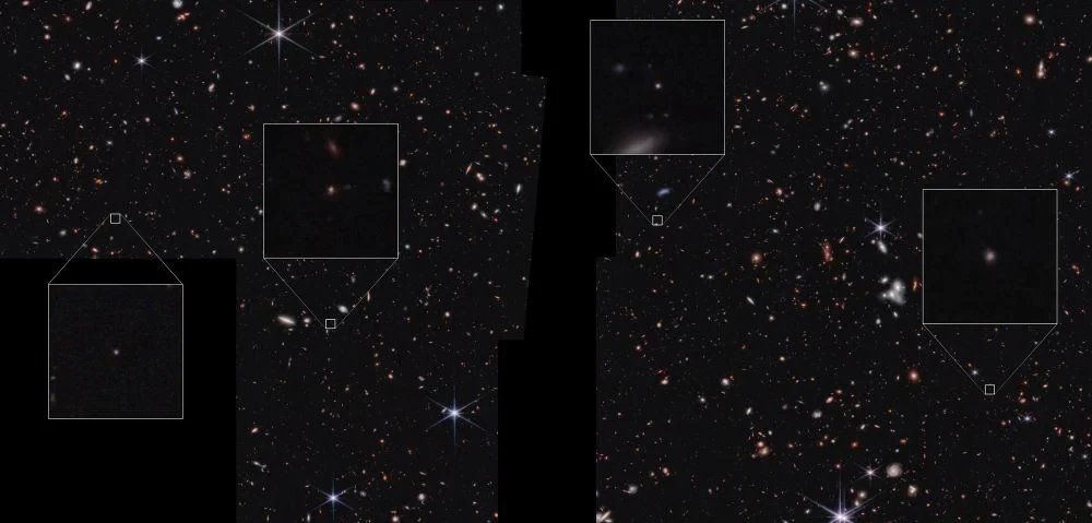 As Puzzling As A Platypus: The JWST Finds Some Hard To Categorize Objects