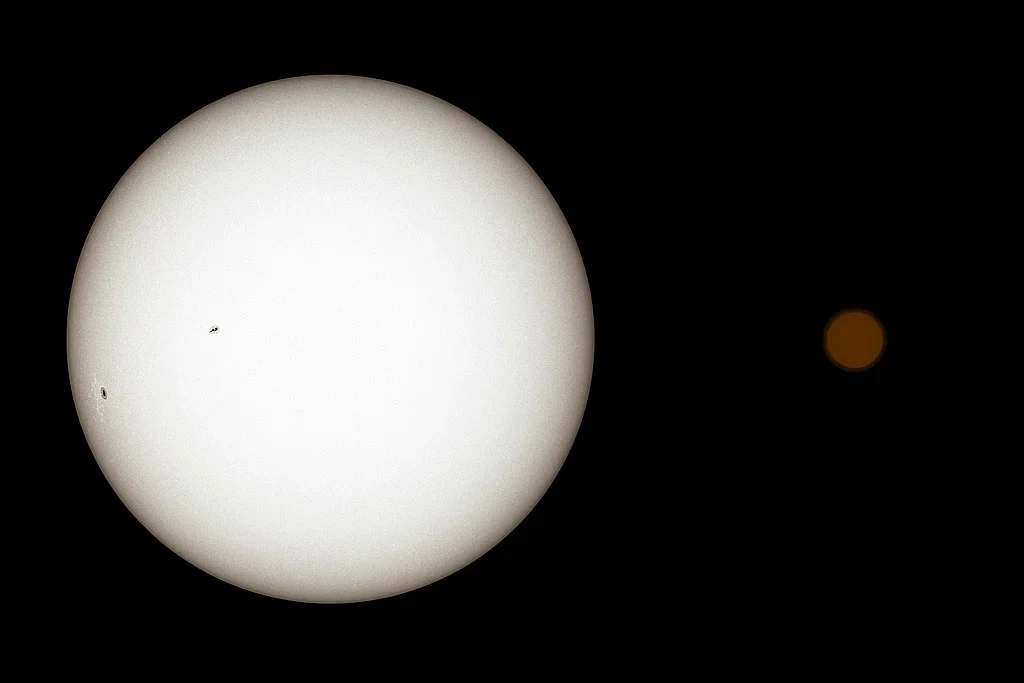 Could TRAPPIST-1’s Seven Worlds Host Moons?