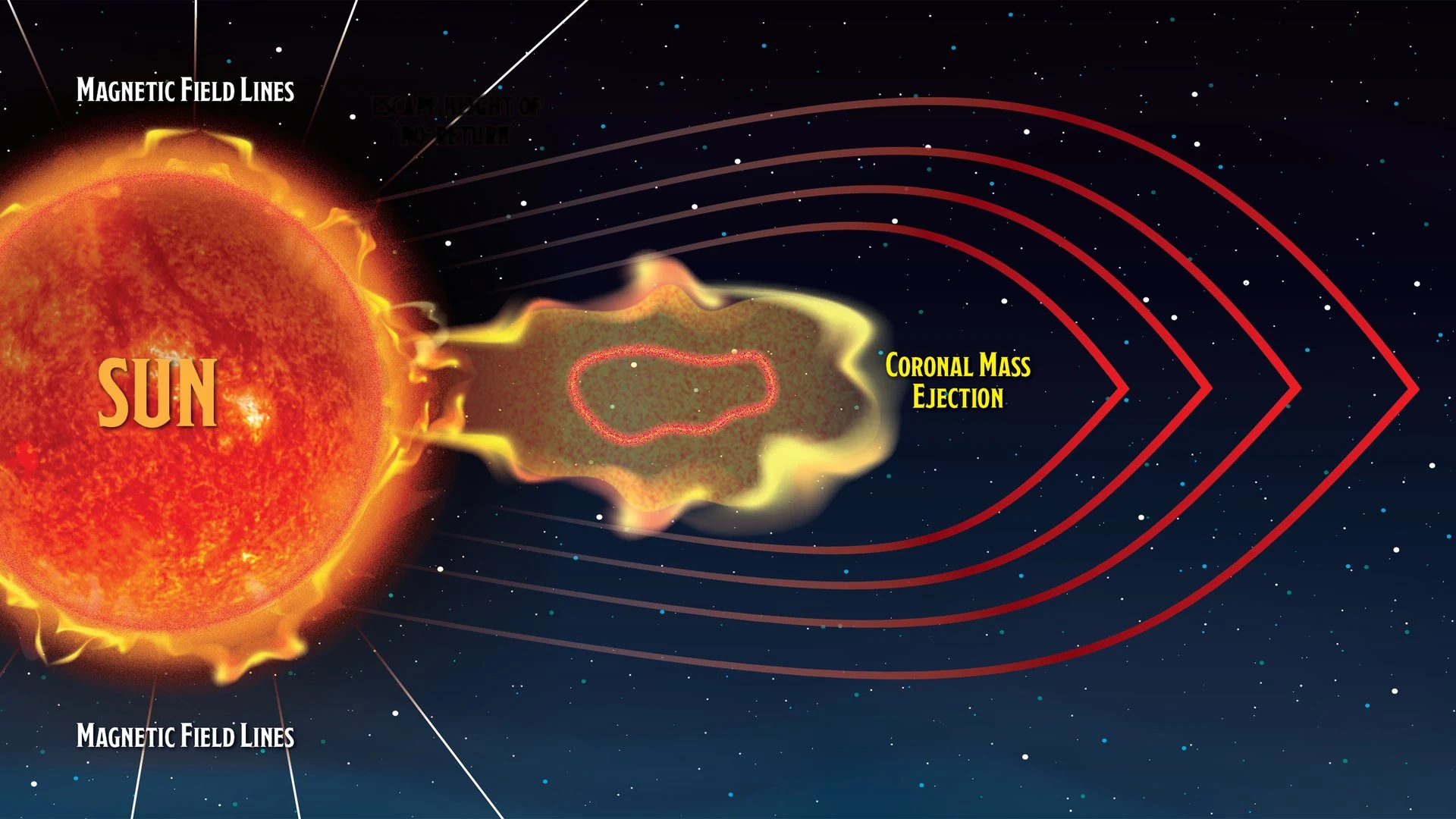 It’s Raining Magnetic 'Tadpoles' on the Sun