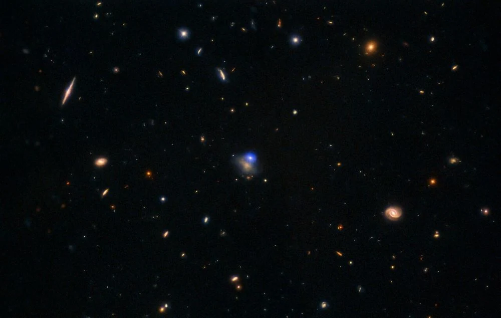 Luminous Fast Blue Optical Transients Are Likely Large Black Holes Shredding Their Massive Companions